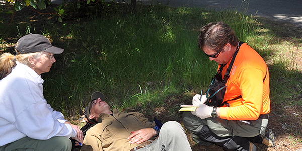 Search and Rescue team members responding to an injured victim